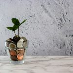 green plant in clear glass cup